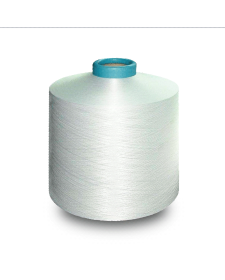 Quae sunt genera pictorum?